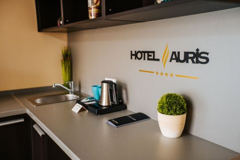 Hotel Auris6