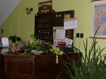 Hotel Orchidea2
