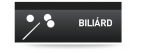 Billiárd Billiárd