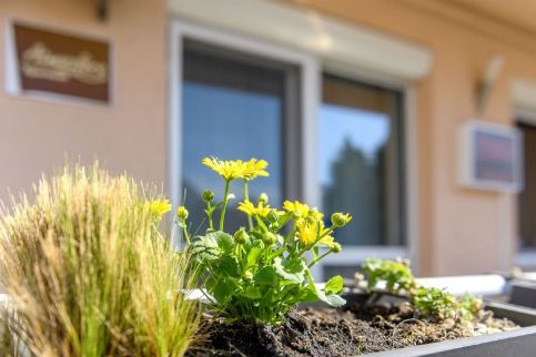 Atmoszféra Apartman66