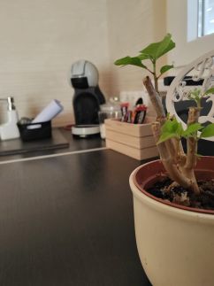 Egri Apartman13