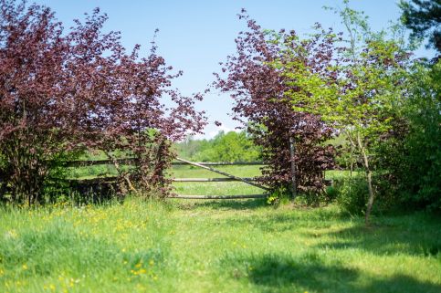 Őrségi Patakparti Alpaka Panzió30