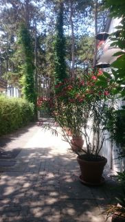 Apartmanház Villa Lakos30