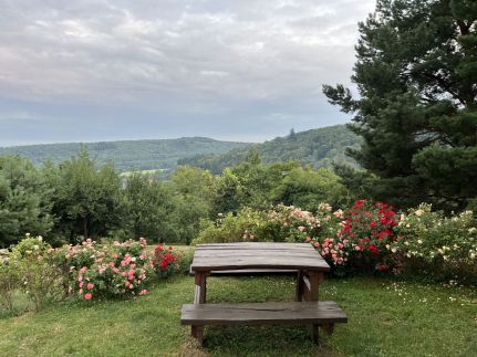 Ciklámen Apartman