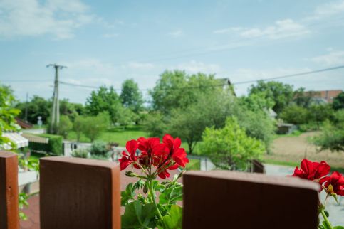 Muskátli Apartman11
