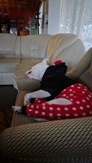 Legányi Kávézó Apartmanházai72