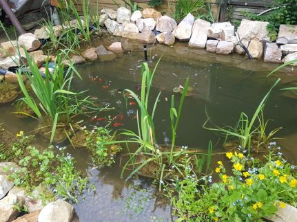 Legányi Kávézó Apartmanházai78