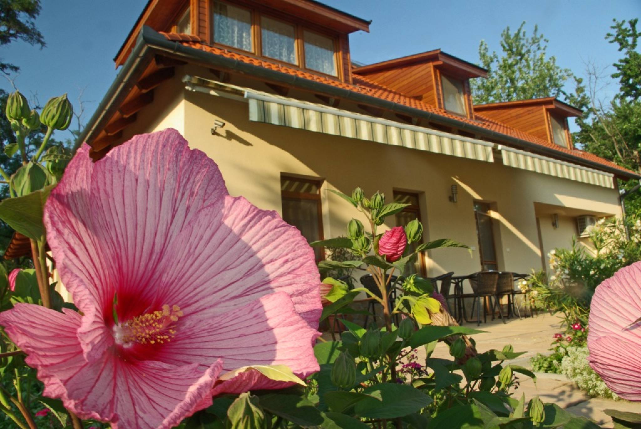Relaxo Apartmanház – Cserkeszőlő