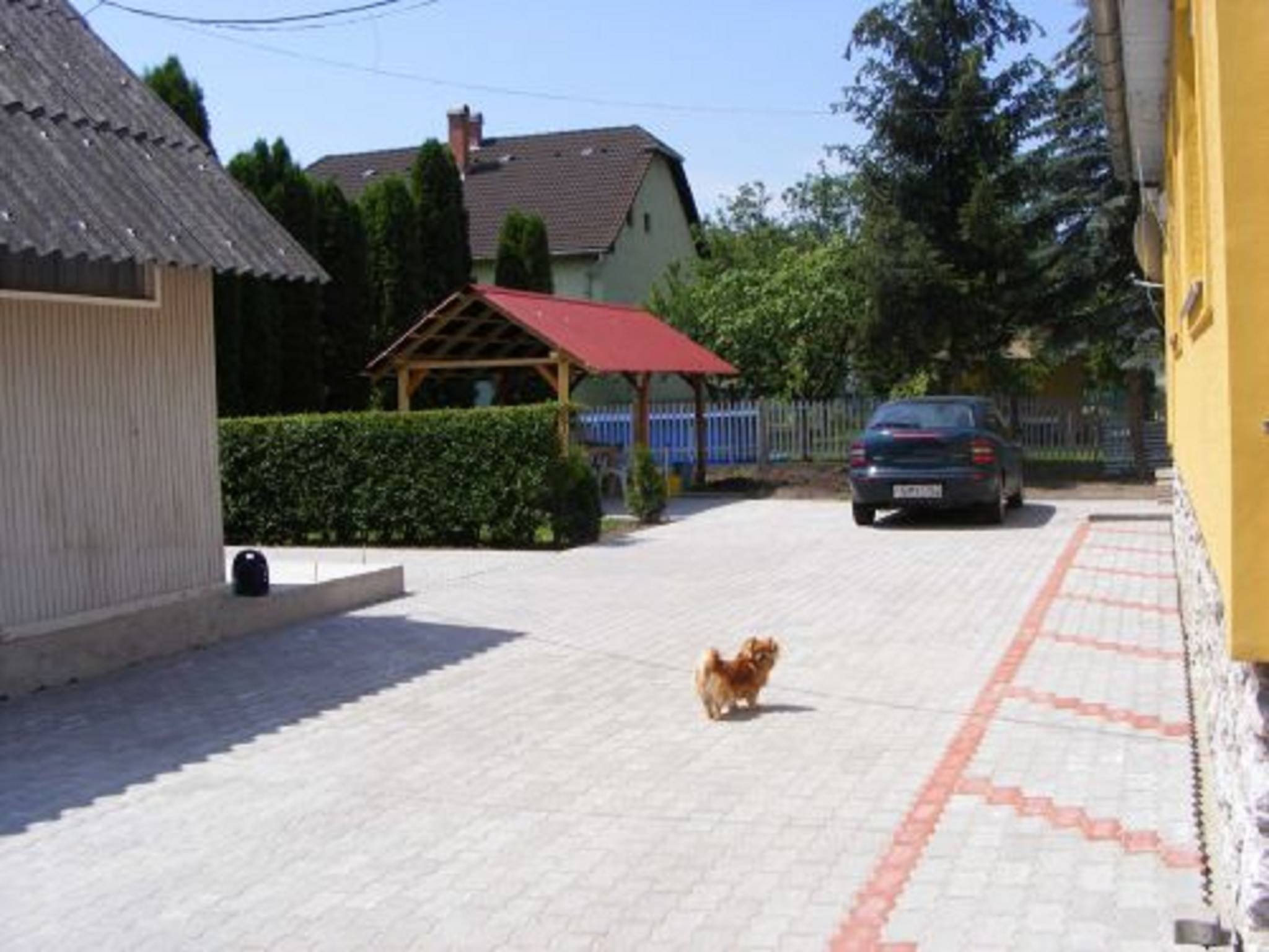Napfény Vendégház és Apartman – Szilvásvárad fotó 3