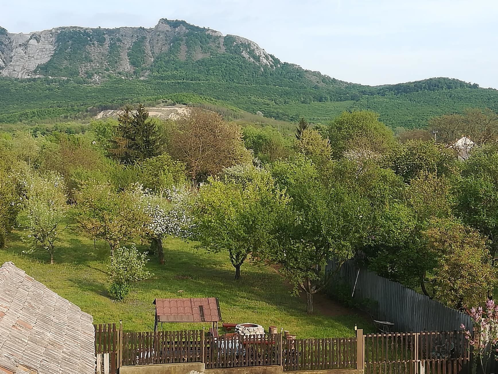 Viola Apartman – Bélapátfalva fotó 11