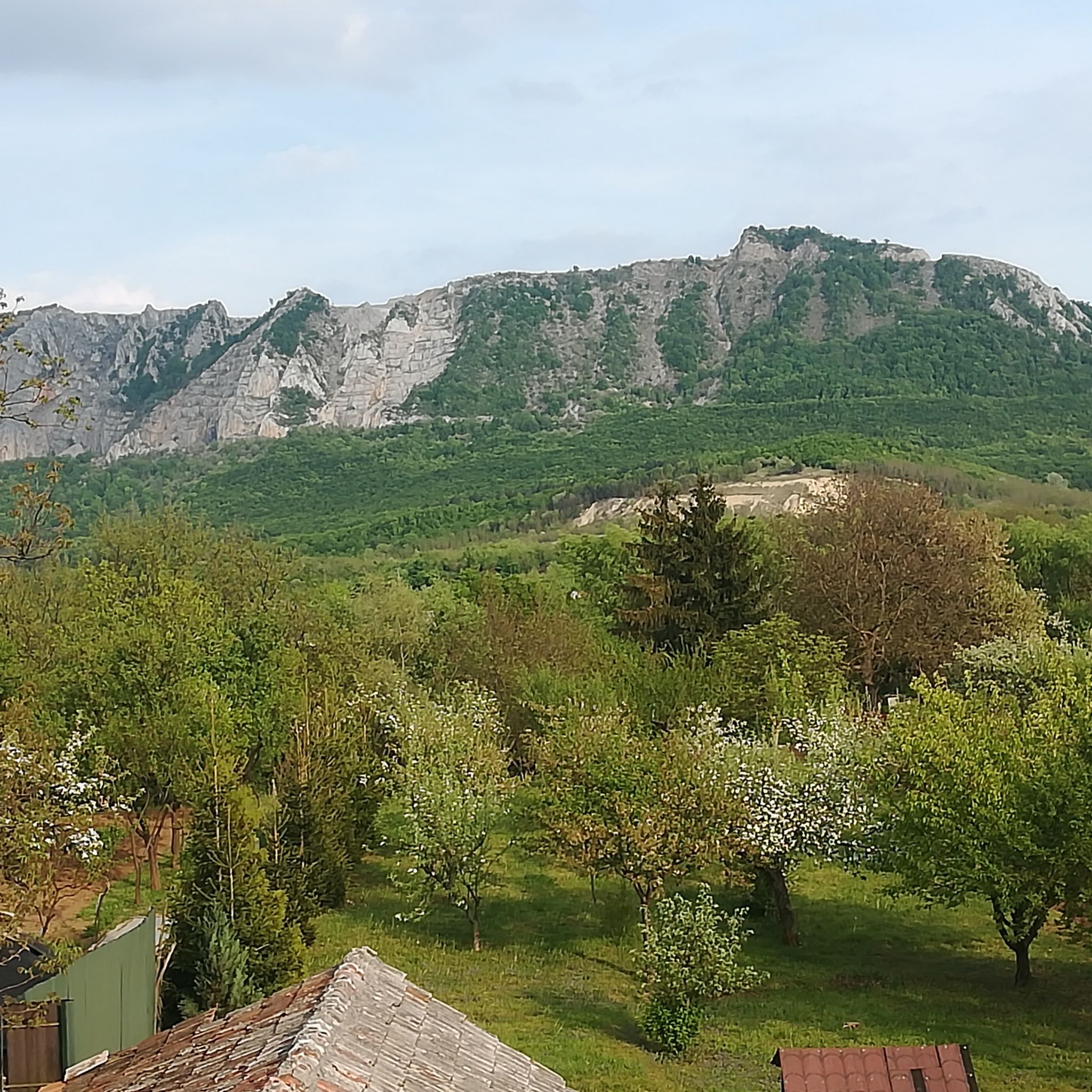 Viola Apartman – Bélapátfalva fotó 16
