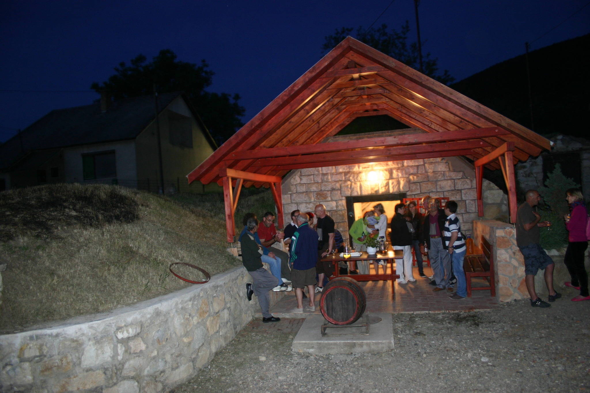 Hegyalja Panzió – Abaújszántó fotó 11