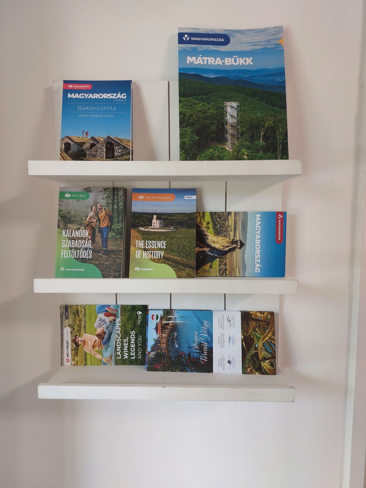 Csalogány 19 Apartman – Mezőkövesd fotó 8