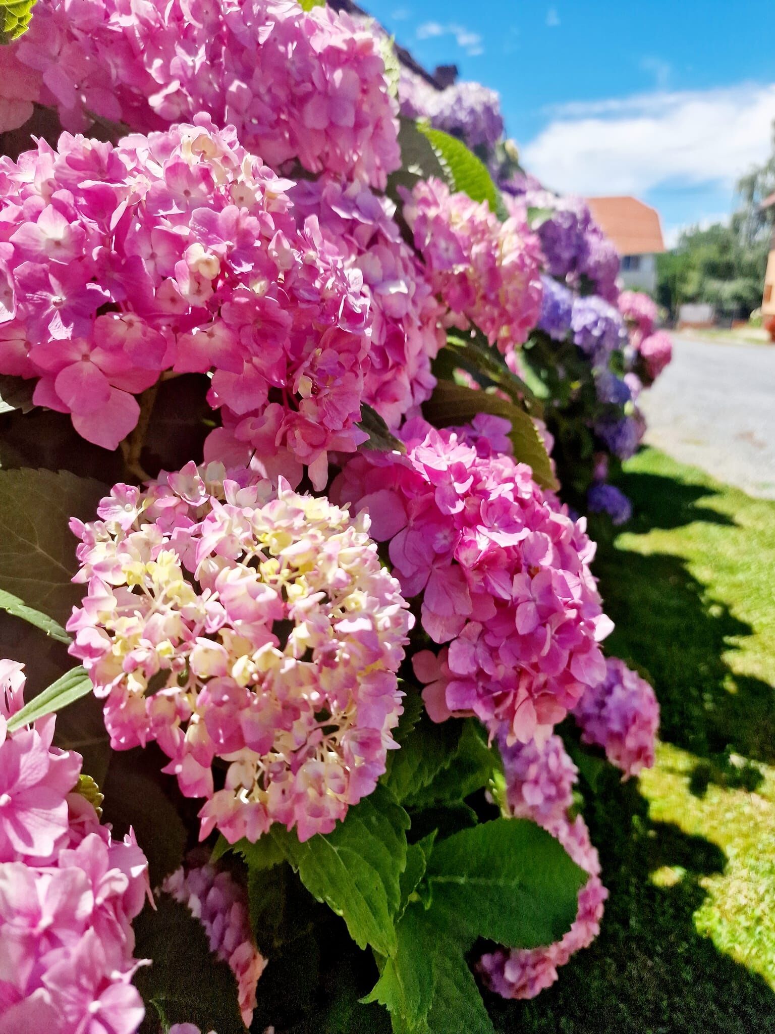Ibolya Vendégház – Kehidakustány fotó 12