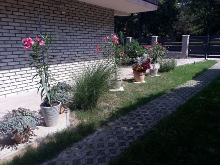 Zsuzsa Apartman20