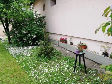 Marcsi Apartman16