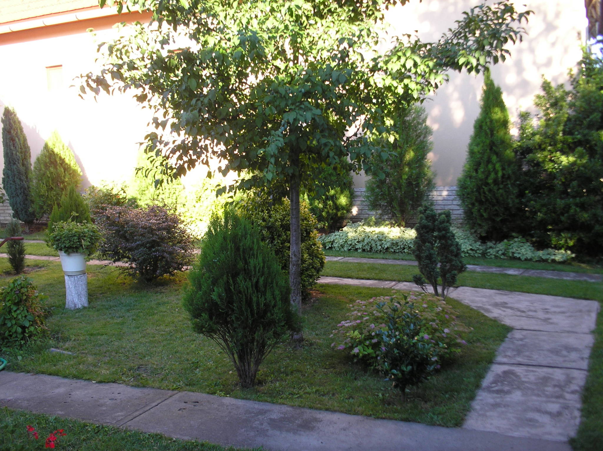 Pálfi Apartman – Gyula fotó 7