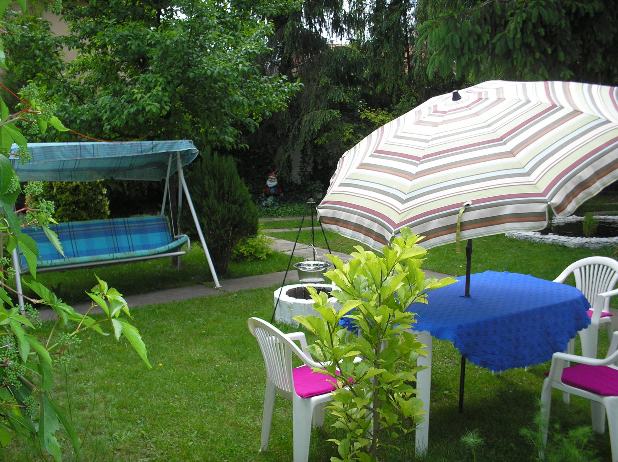 Pálfi Apartman – Gyula fotó 8