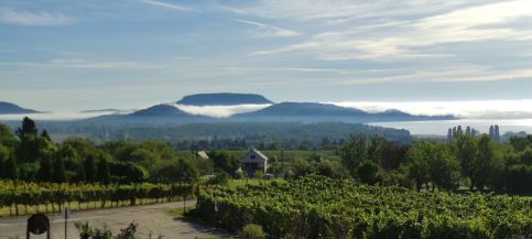 Szabó Pince Vendégház33