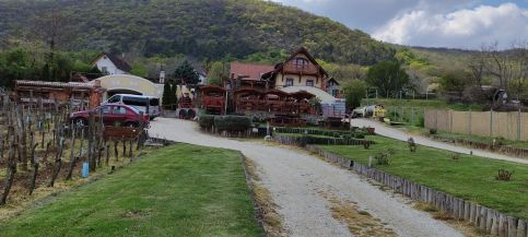 Szabó Pince Vendégház34