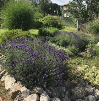 Gyöngyház Apartman8