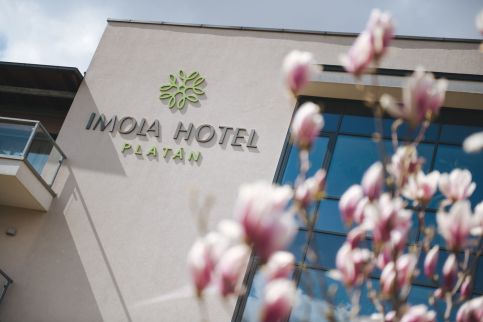 Imola Hotel Platán5