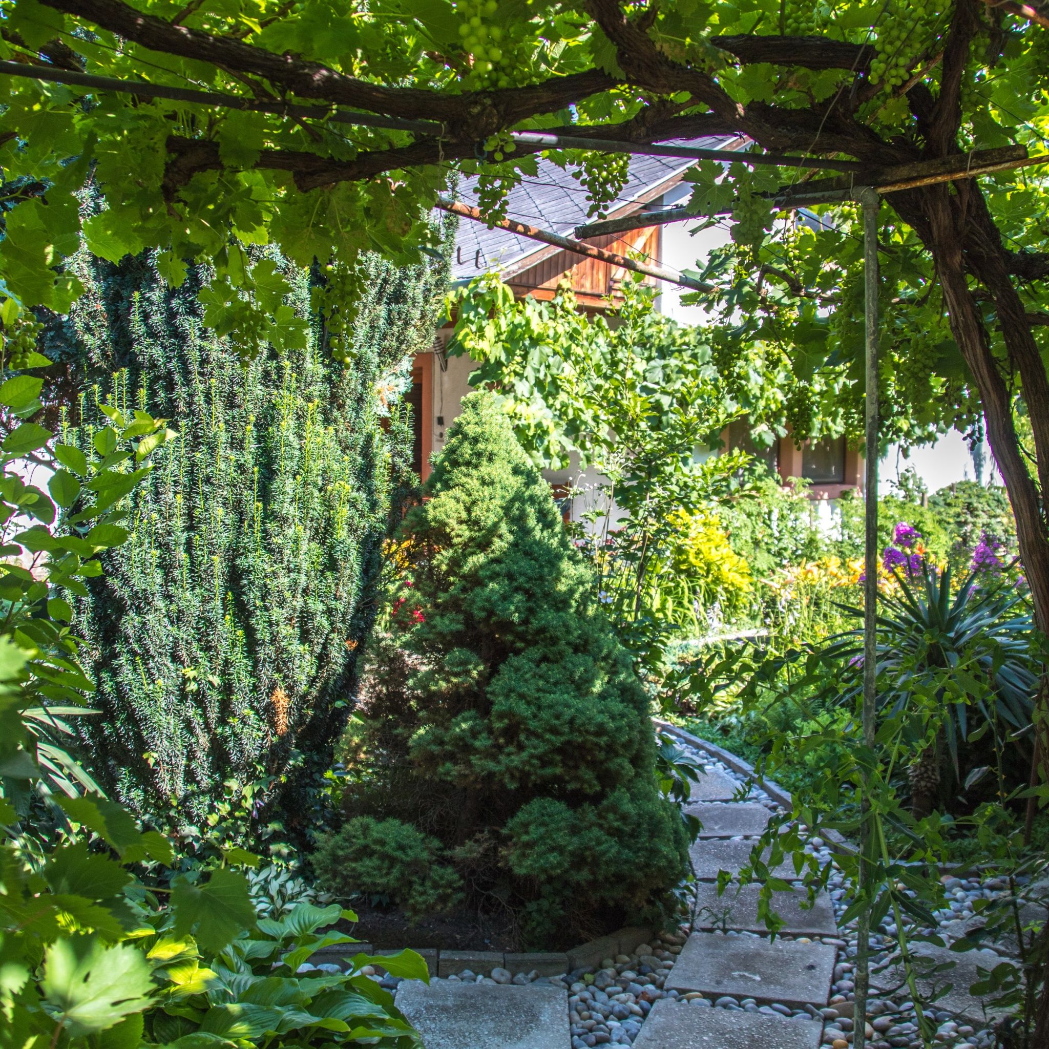 Anikó Apartman – Keszthely fotó 3
