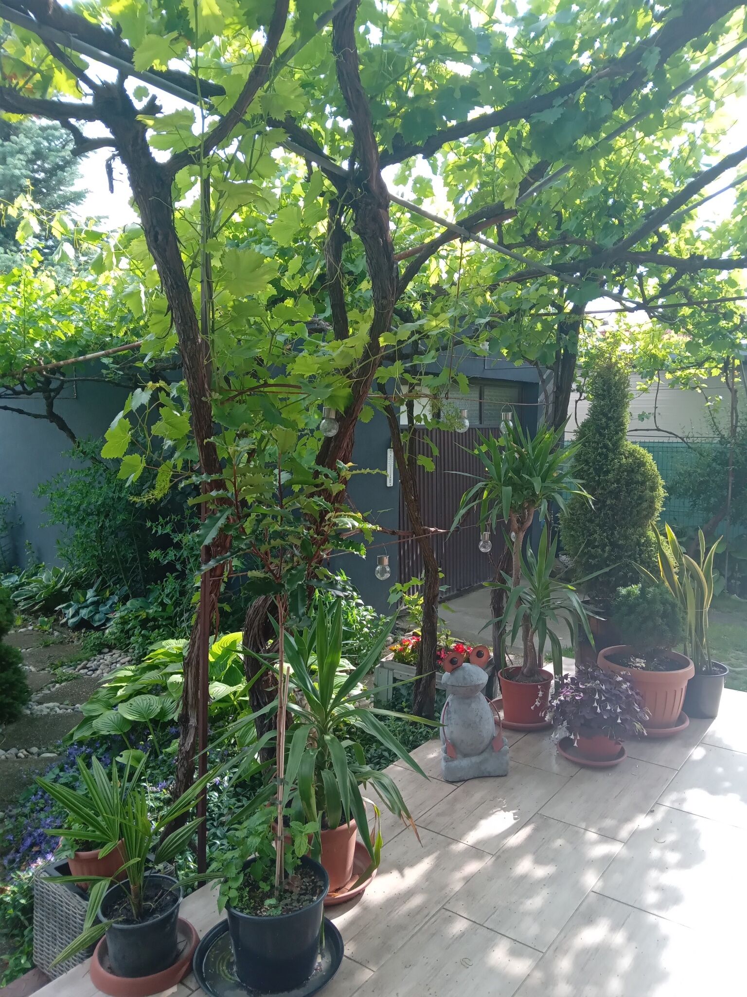 Anikó Apartman – Keszthely fotó 7