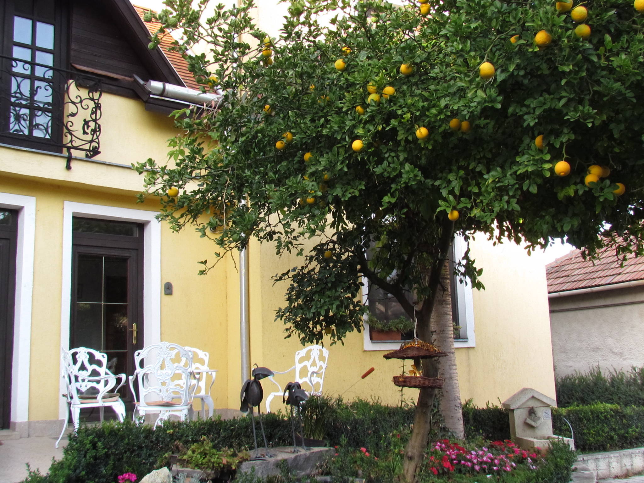 Torkolat Panzió – Tokaj fotó 8
