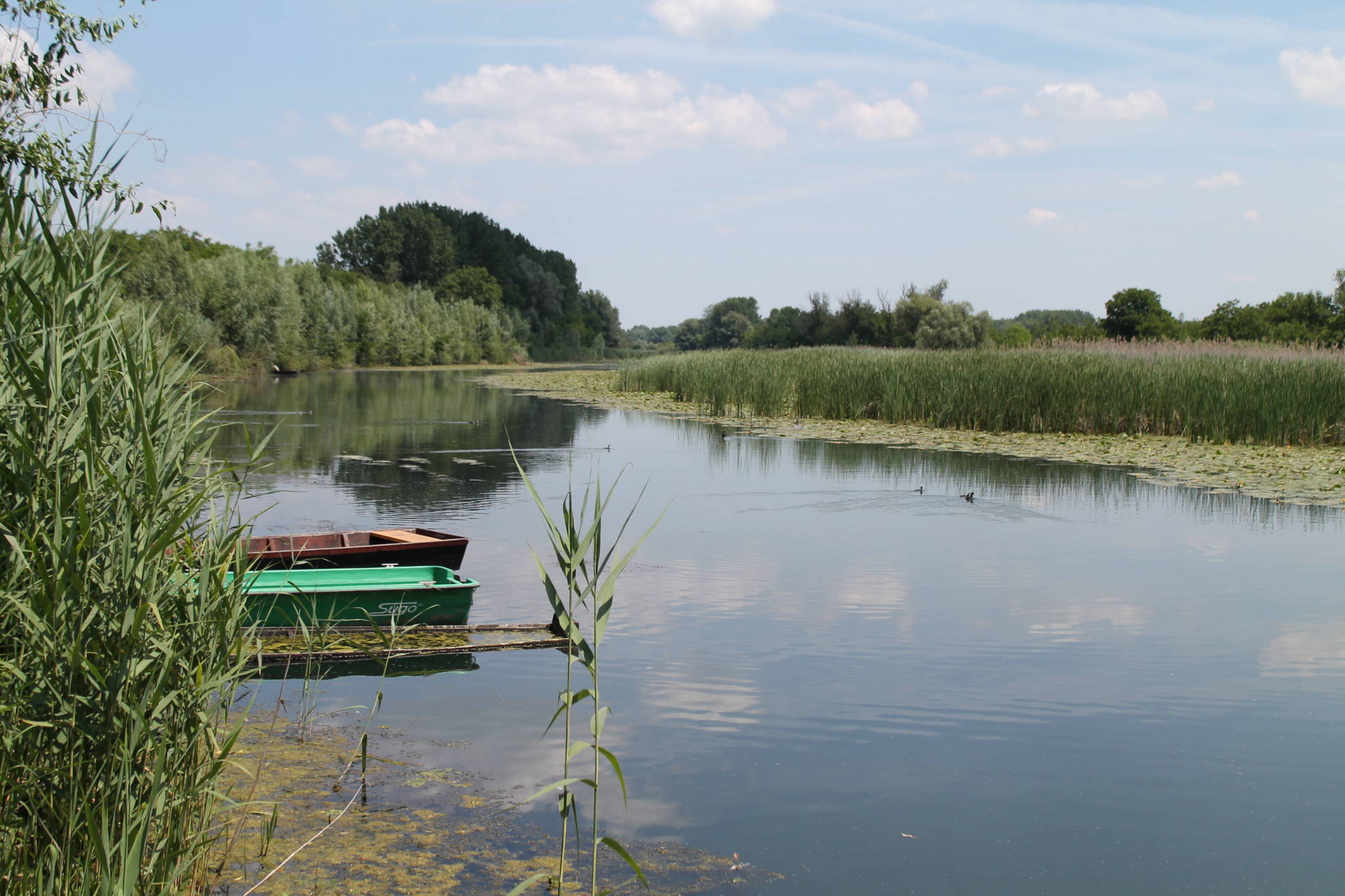Ponty-Lak Vendégház – Dávod fotó 3