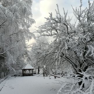 Shubu Zen Vendégház32