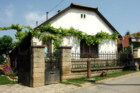 Pataky Borporta23