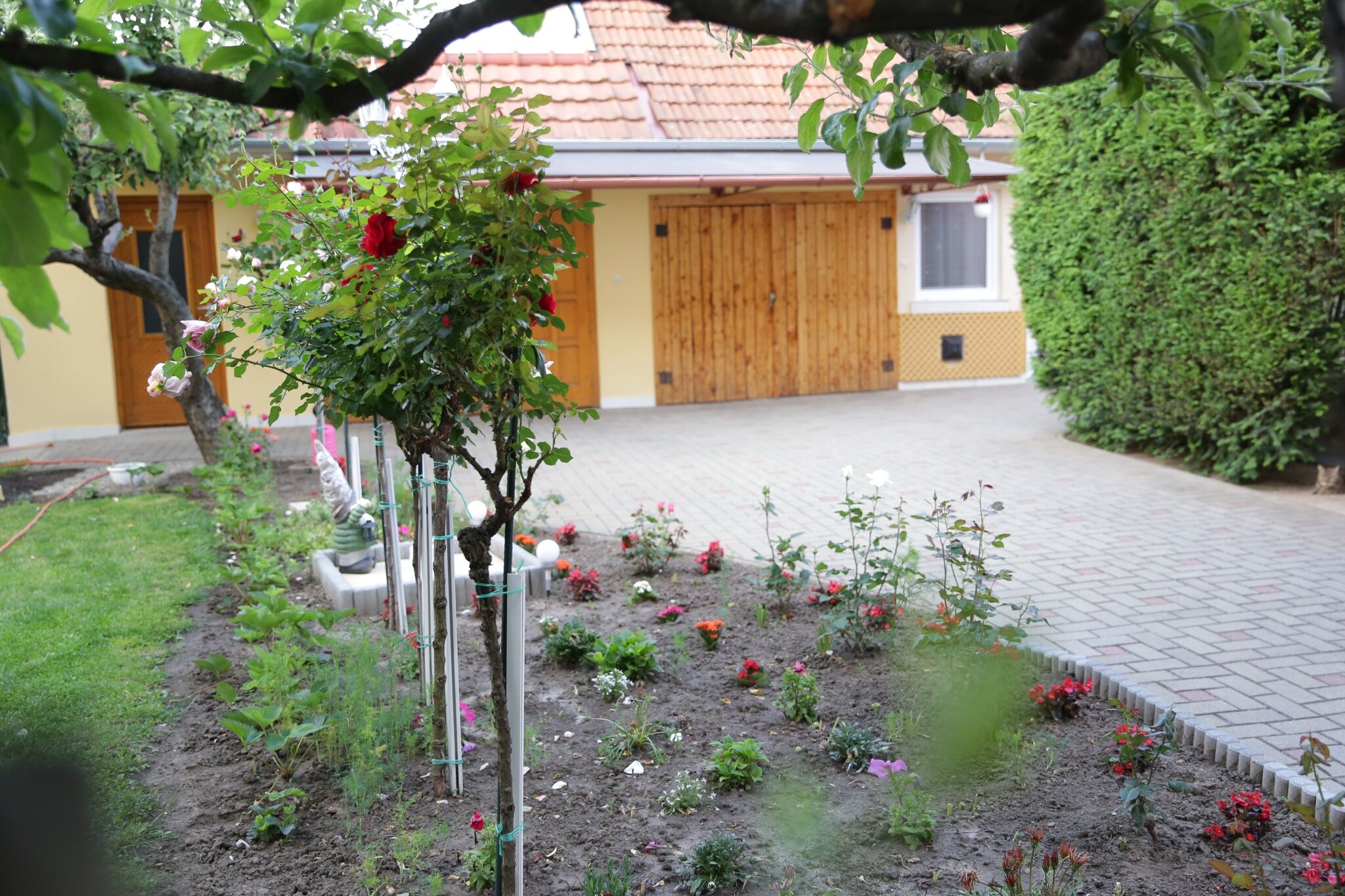 Ildikó Apartman – Gyula fotó 11