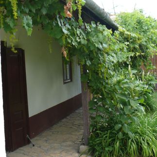 Ady Vendégház17