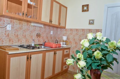 Homokháti Vendégház és Pálma Apartmanok5