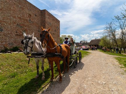 Puchner Kastélyszálló és Reneszánsz Élménybirtok17