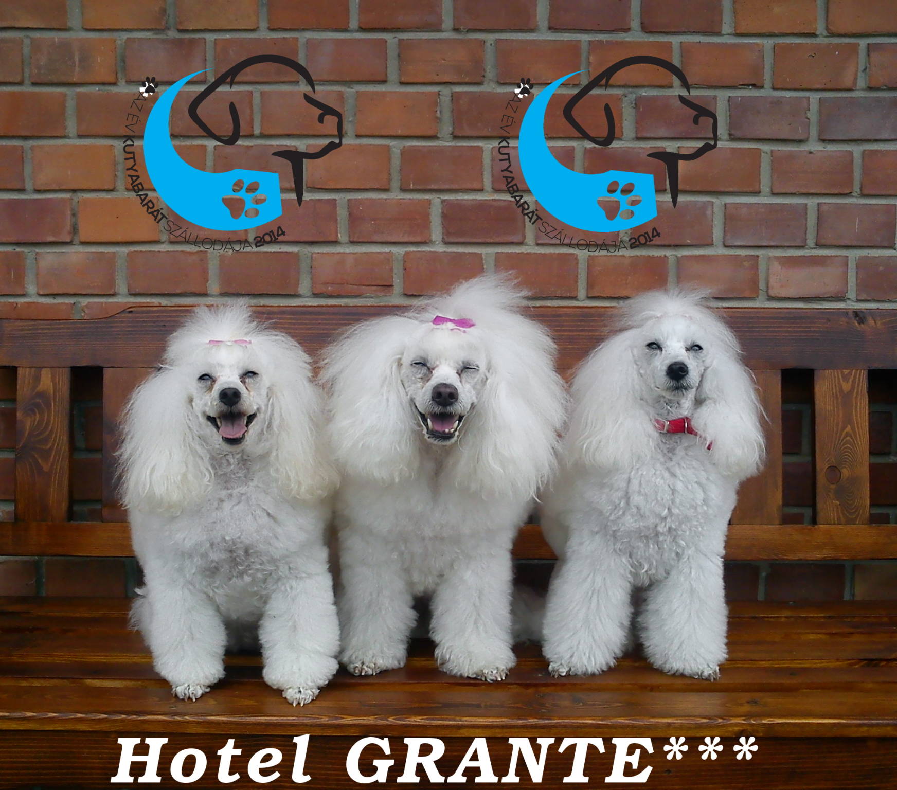 Grante Hotel – Esztergom fotó 17