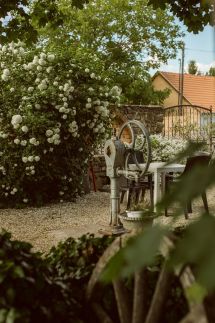Borostyánkert Étterem és Vendégház45