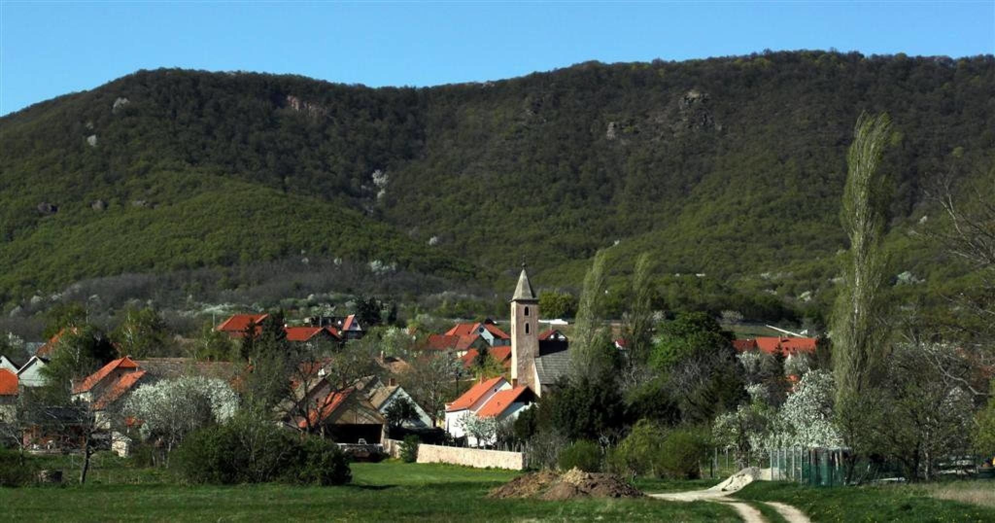 Apartman Vörösdombi Vendégház – Cserkút fotó 10