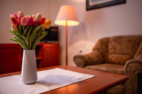 Hotel Ovit55