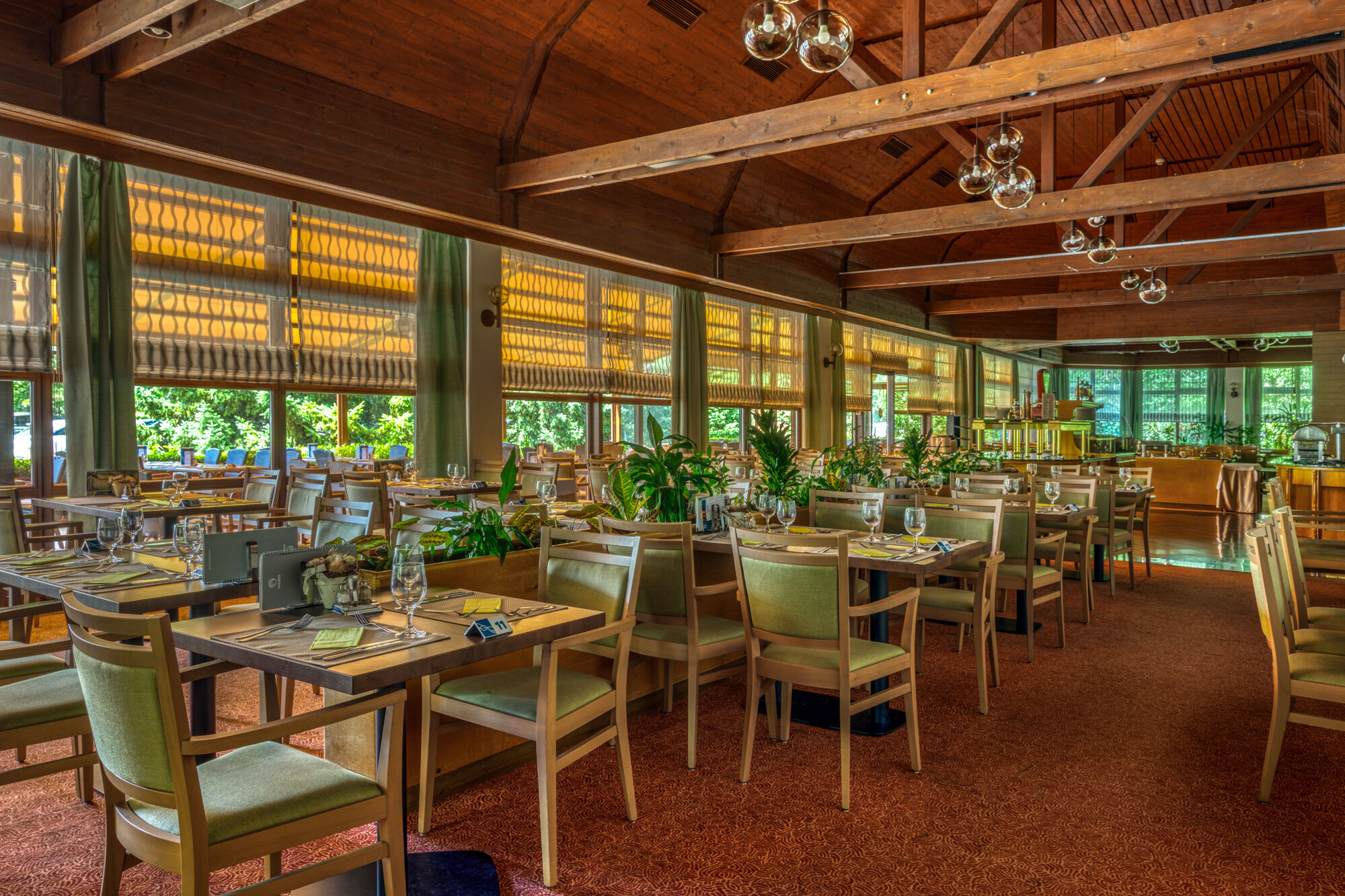 Danubius Health Spa Resort – Sárvár fotó 27