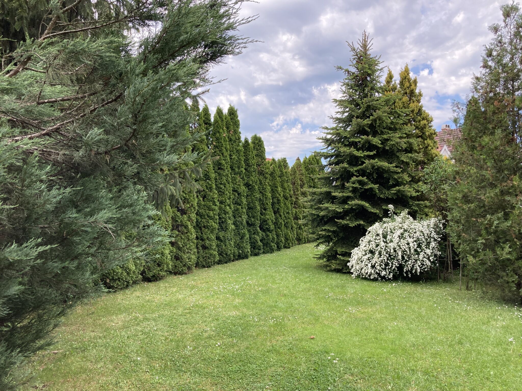 Roxanna Apartman – Gyula fotó 13