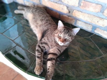 Koczor Pincészet és Vendégfogadó45