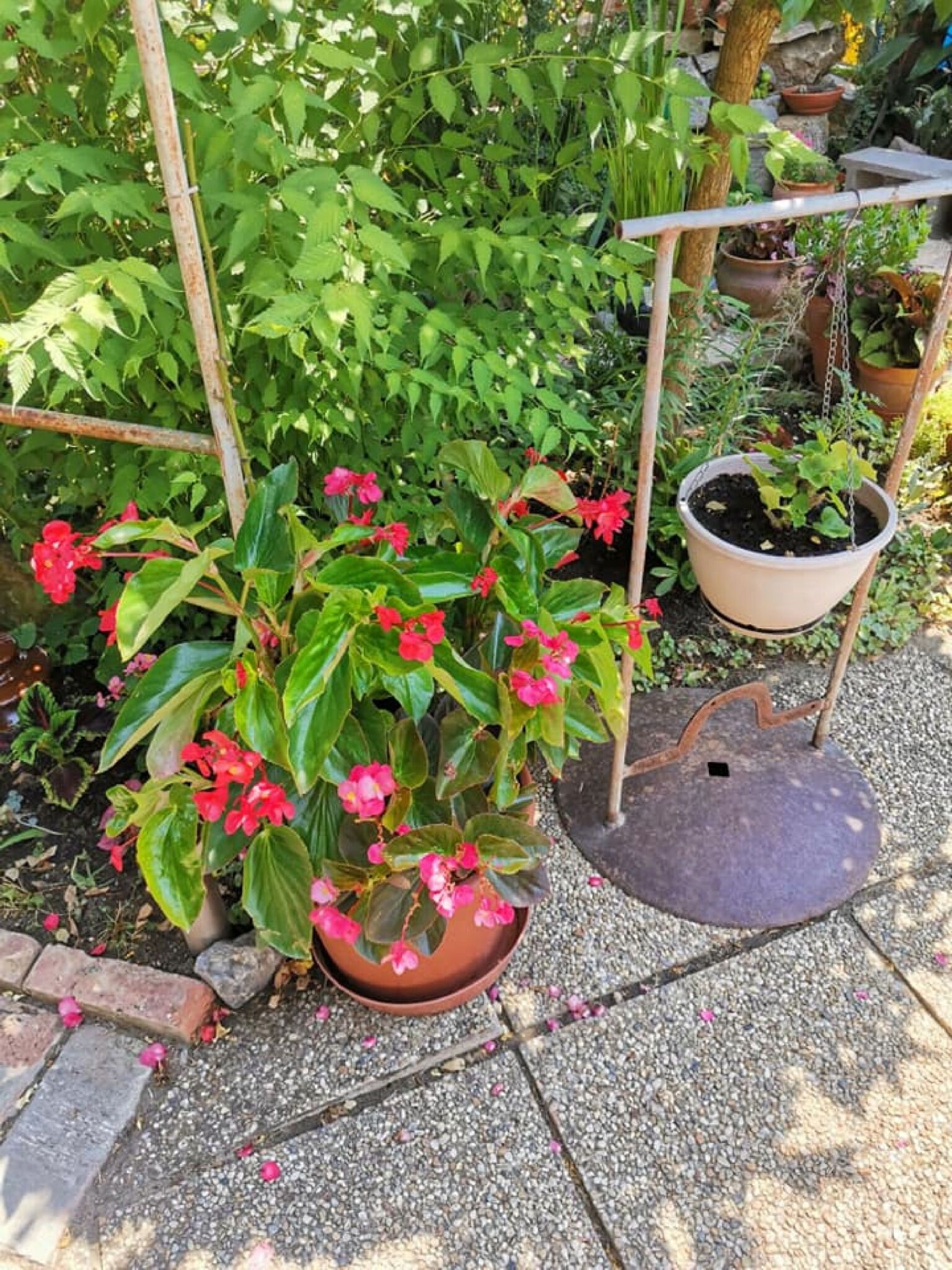 Agod Apartman – Gyula fotó 47