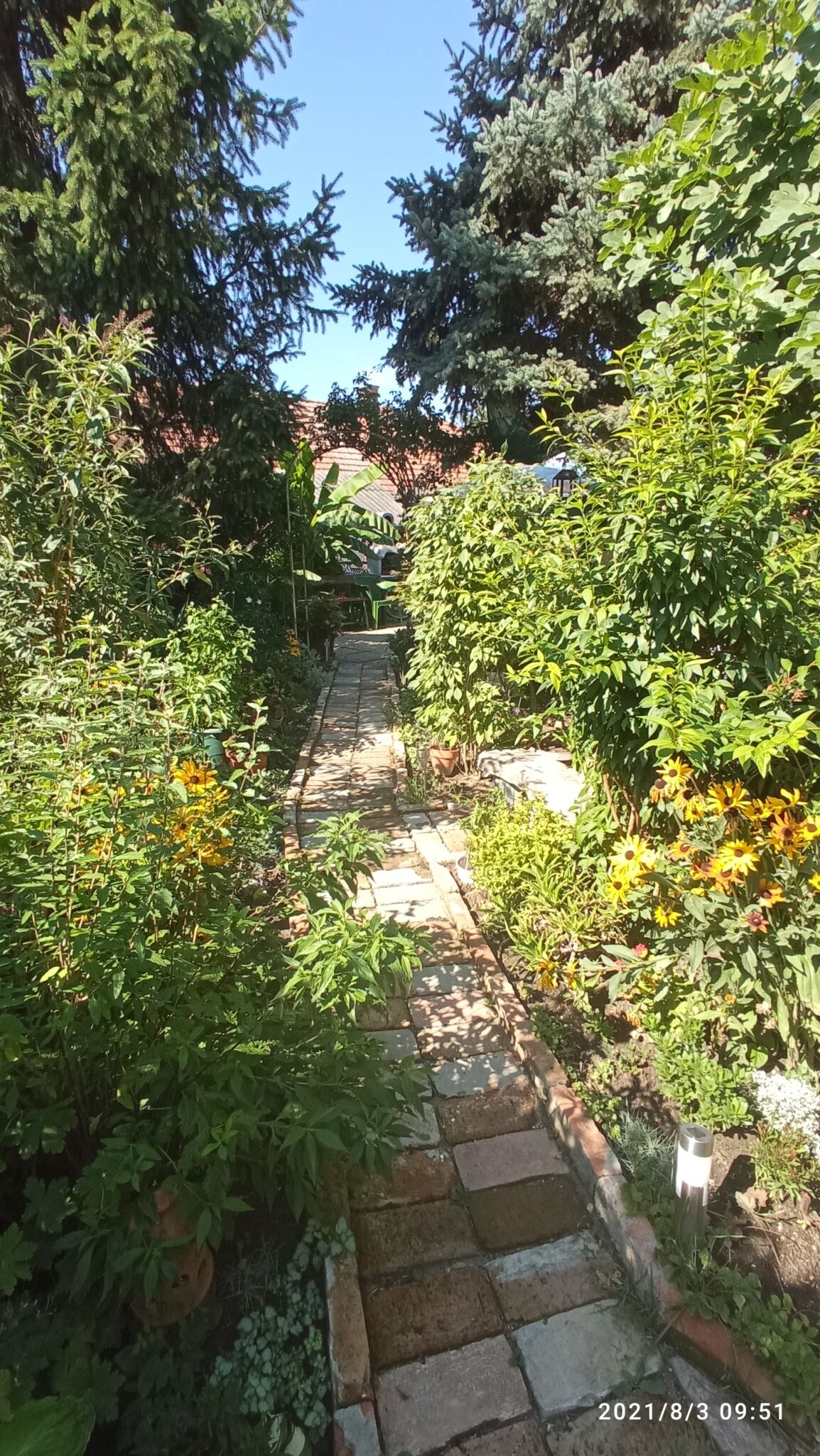Agod Apartman – Gyula fotó 48