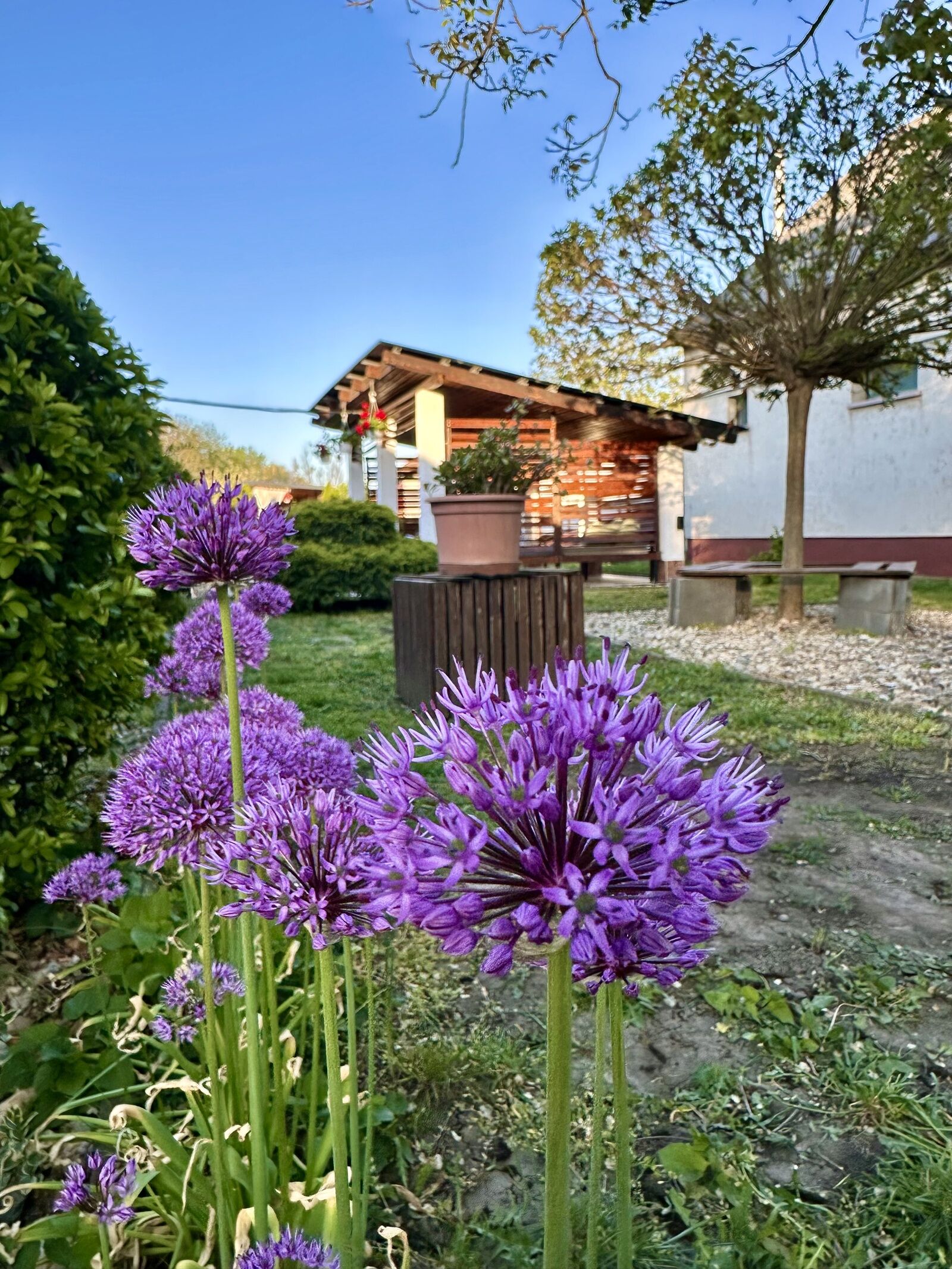 Green Cottage Vendégház – Püspökladány fotó 14