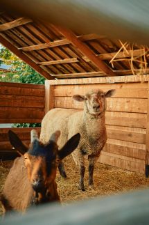 Egri Korona Borház és Wellness Hotel12