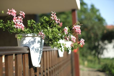 Panoráma Apartman15