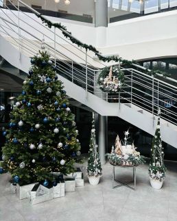 Ambient Hotel & AromaSPA Sikonda36