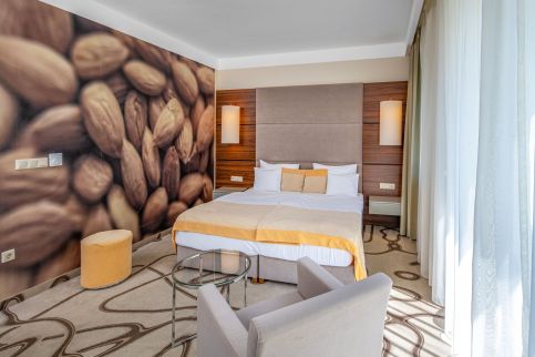 Ambient Hotel & AromaSPA Sikonda37